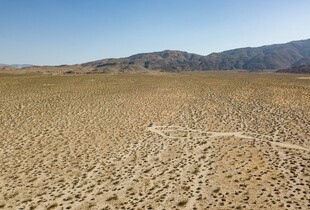 干旱龟裂的荒芜大地
