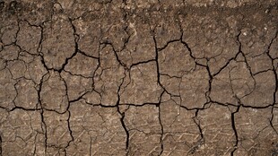 干裂土地