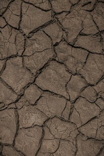 干裂的大地