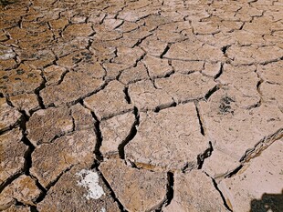 干裂土地