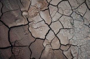 干裂土地纹理特写