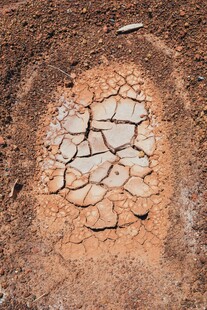 干裂的土地