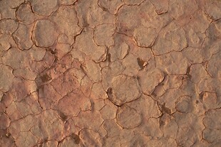 干裂的红褐色土地纹理