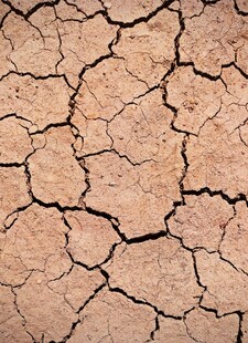 干裂的土地