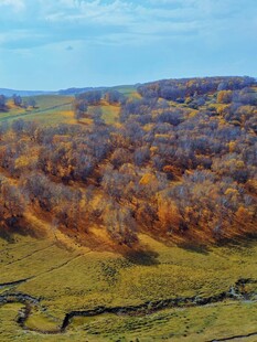 秋日山林俯瞰美景