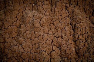 干裂的褐色土地纹理