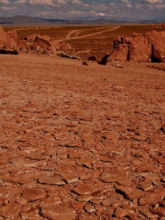 红色干裂土地景观