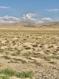 广袤荒凉的开阔原野