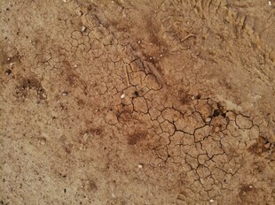 粗糙斑驳的陈旧土墙纹理