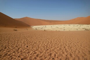 沙漠中的白色斑块景观