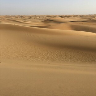 广袤沙漠中的起伏沙丘