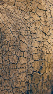干裂土地