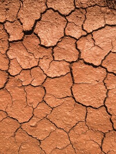 干裂的红褐色土地