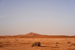 沙漠旷野中的孤寂景象