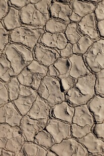 干裂土地纹理特写
