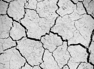 干裂土地纹理特写