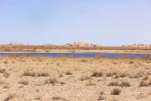 干旱荒漠中的小片水域