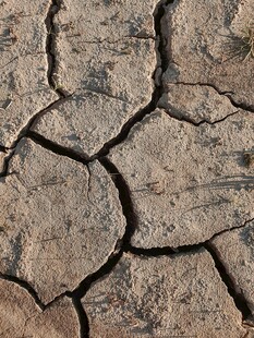 干裂土地纹理特写