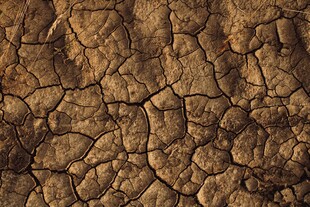 干裂的大地纹理