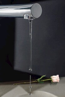 水龙头下的优雅玫瑰