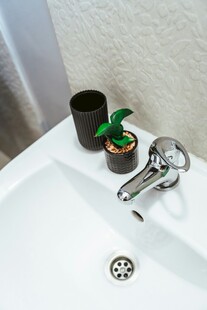 洗手池上的绿植与杯具