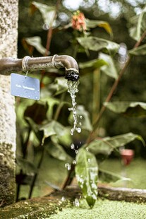 户外水龙头流水绿植相伴