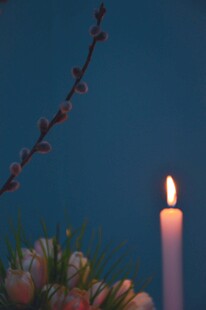 烛光伴花枝的静谧时刻