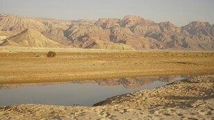 沙漠中的静谧水域
