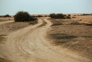 荒野中的蜿蜒土路