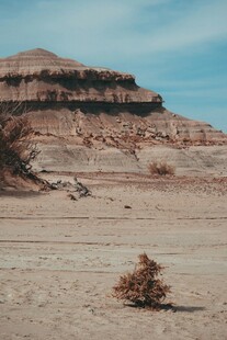 荒凉沙漠中的孤独景象