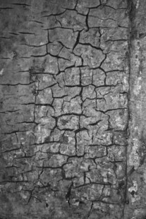 干裂的地面纹理