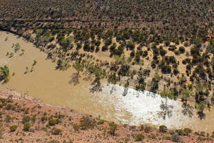 俯瞰山间河流与植被景观
