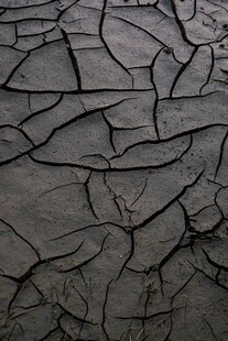 干裂土地纹理特写