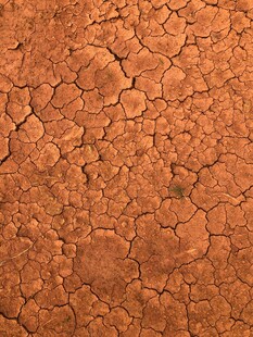 干裂的红褐色土地