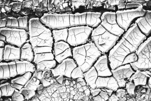 干裂土地纹理特写