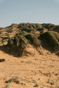 沙漠中的绿色沙丘景观
