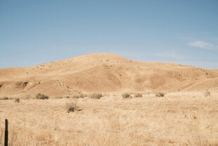 广袤荒野中的金色山丘