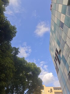 蓝天绿树旁的多彩建筑