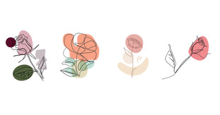 连续线条玫瑰花卉极简主义png