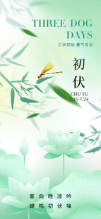 三伏天简约意境初伏海报