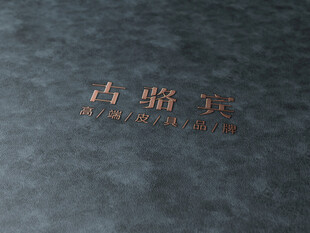 logo样机