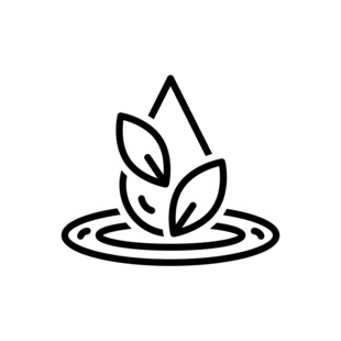 水滴 茶叶