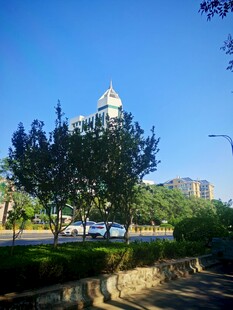 城市中绿树环绕的钟楼景观