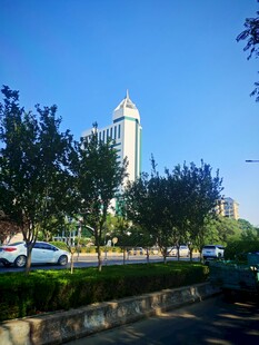 城市道路旁的高耸建筑