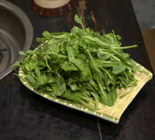 豌豆尖
