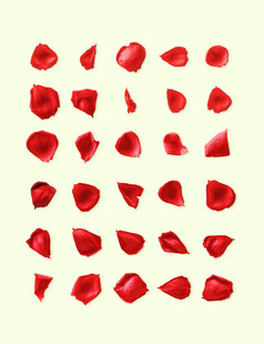 玫瑰花瓣