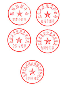 圆形红色印章图案展示