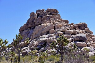 荒野中的嶙峋巨石