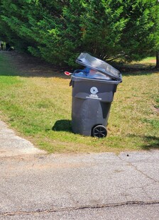 户外草地上的垃圾桶