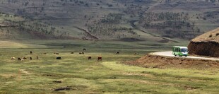 草原上的小屋与开阔风景
